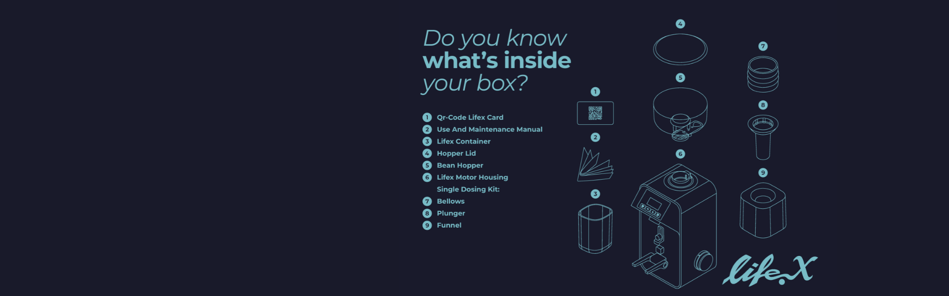 LifeX - inside box